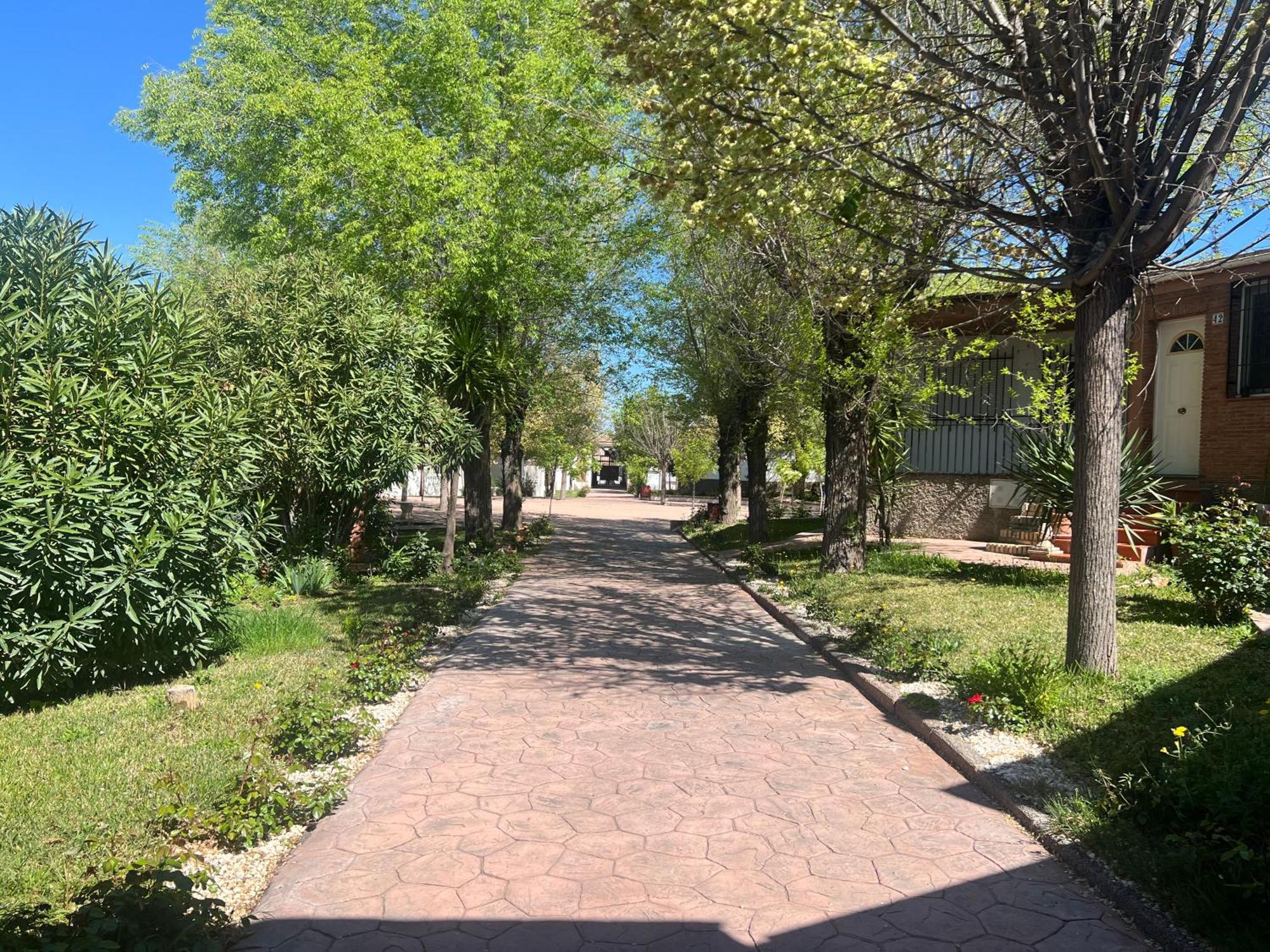 Bungalow Padul El Mamut Zewnętrze zdjęcie